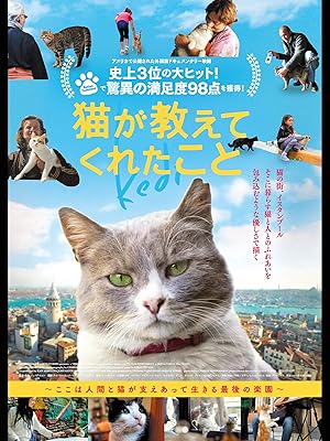 Amazon Co Jp 猫が教えてくれたこと 字幕版 を観る Prime Video