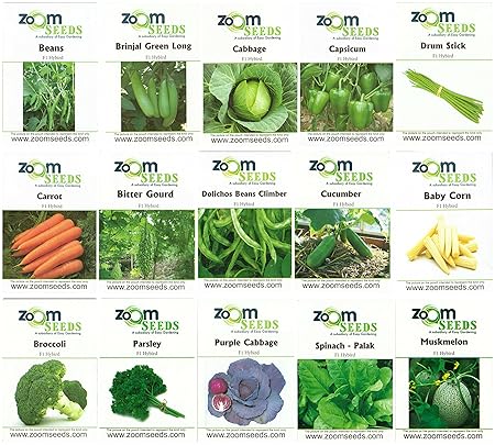 Easy Gardening Set of 15 Vegetable Seeds for Terrace & Kitchen Garden F1 Hybrid Seeds Kit