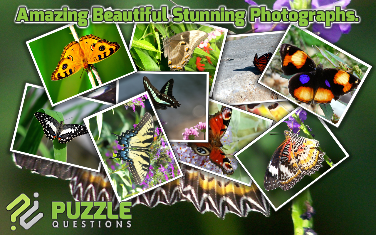 Free Butterfly Jigsaw Puzzle Games Amazon.es Apps y Juegos