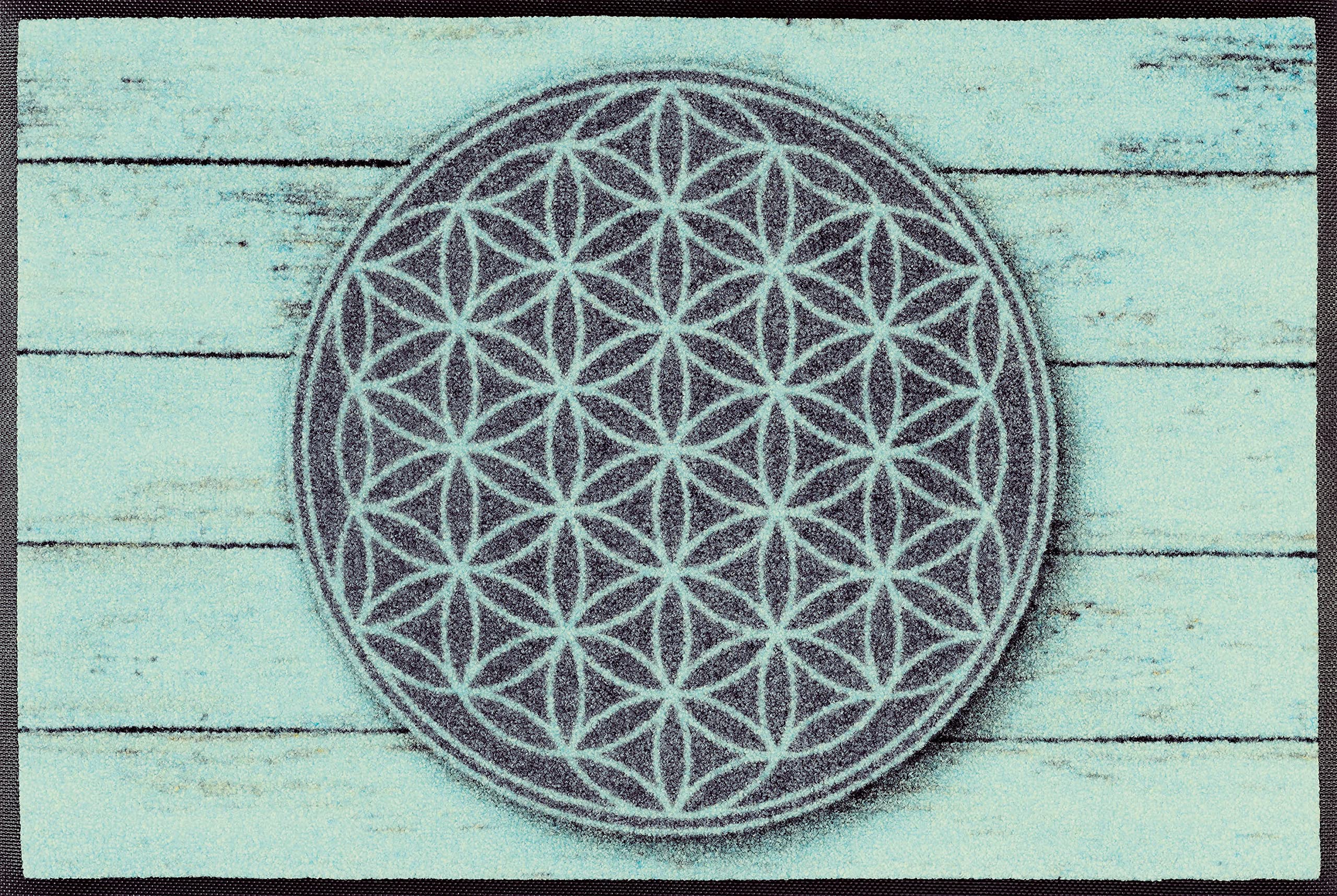 Wash + Dry Door Mat, Top: 100% Cotton, Green, 50/75