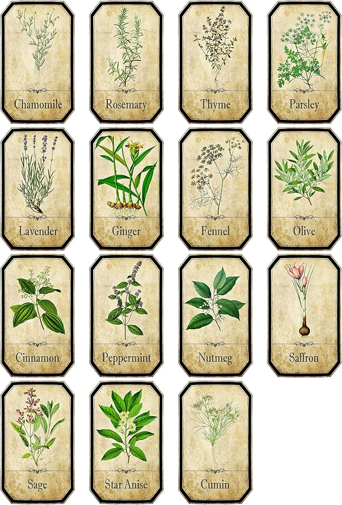 Set of 15 Vintage Style Apothecary Spice Herb Labels Set 1 Sticky
