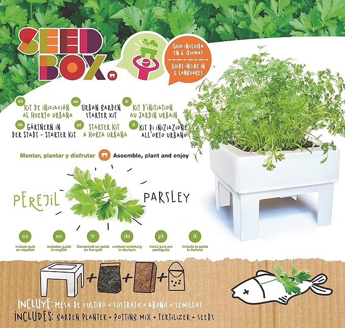 SeedBox SBKSS SBCUPE-Perejil: Amazon.es: Jardín