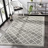 SAFAVIEH Amherst Collection X-Large Area Rug