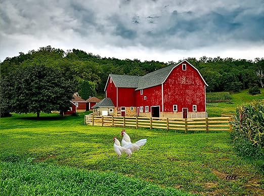 Amazon Com Farm Red Barn Kitchen Glass Cutting Board Barn