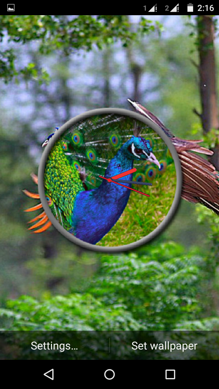 Peacock Clock Live for Android