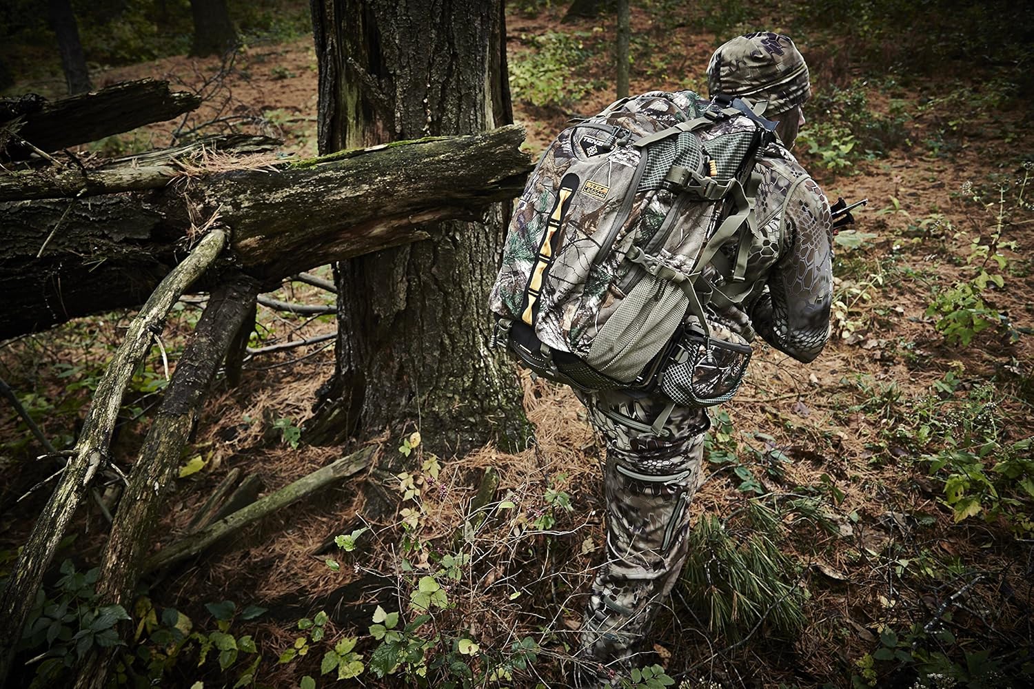 tenzing tz cf legend