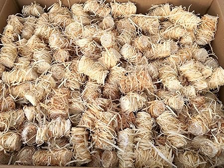 Kaminanzünder holzwolle wachs Kaminanzünder holzwolle wachs