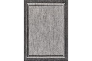 Lena Rug Washable Indoor Outdoor Rug Weather Resistant Indoor Outdoor Carpet for Porch Deck Balcony Backyard Patio Rug 4x6 Bordered Silver Grey/Dark Grey