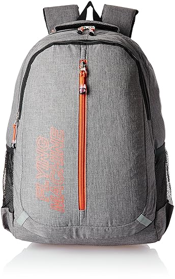 Flying Machine 25 Ltrs Light Grey Messenger Bag (FMLO8056)
