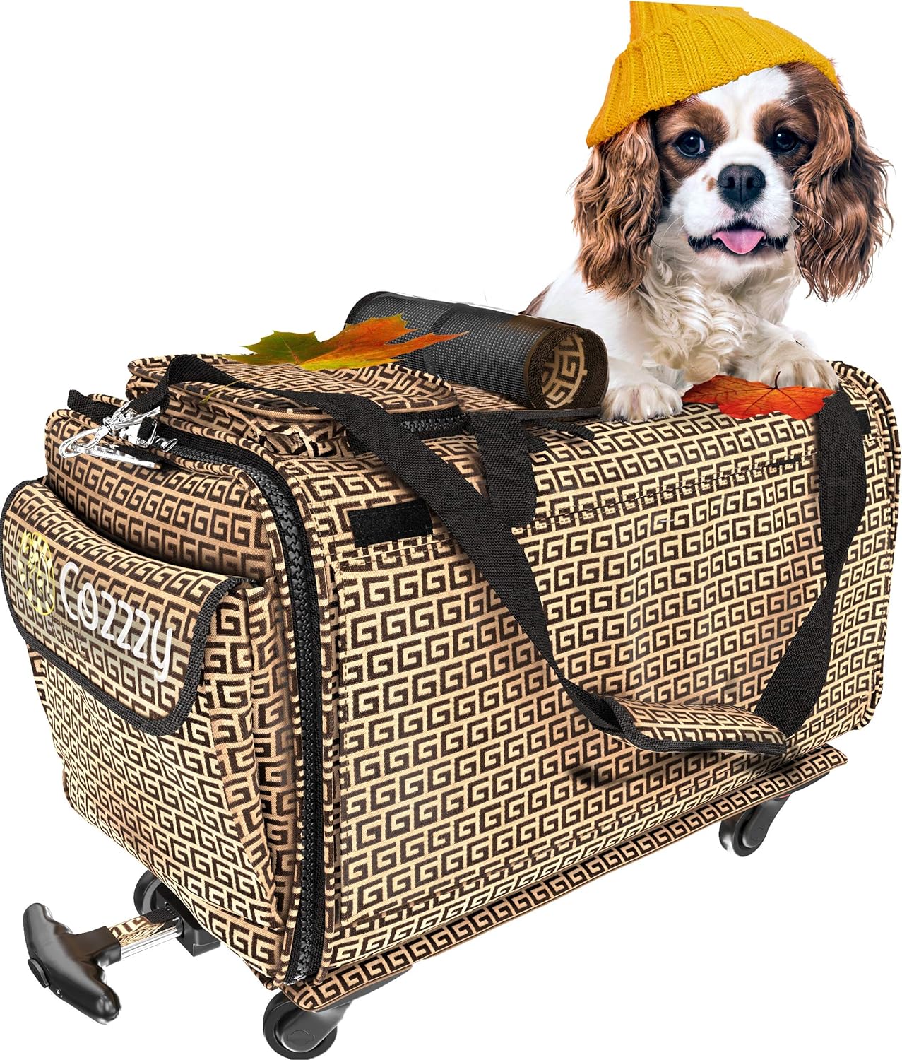 best pet carrier for cavalier king charles spaniel
