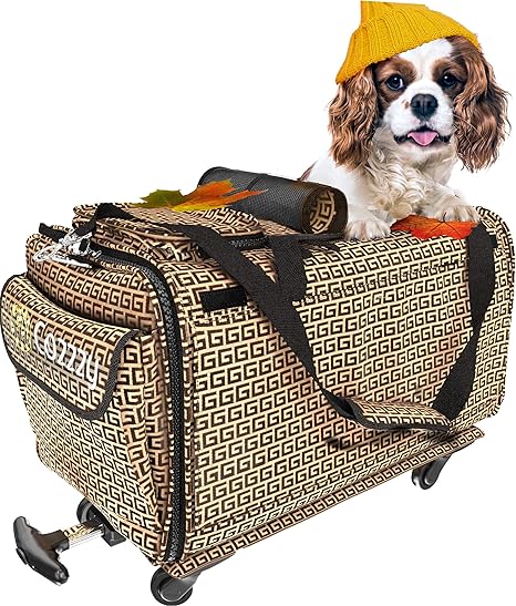 science diet skin allergies