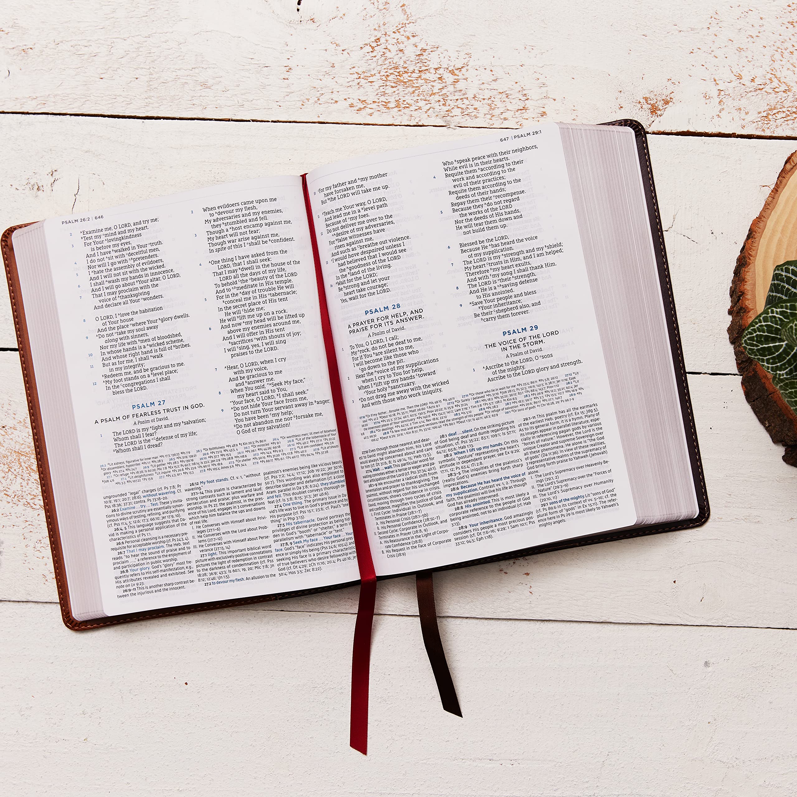 NASB, MacArthur Study Bible, 2nd Edition, Leathersoft, Brown, Comfort Print: Unleashing God's Truth One Verse at a Time NASB, MacArthur Study Bible, 2nd Edition, Leathersoft, Brown, Comfort Print: Unleashing God's Truth One Verse at a Time Imitation Leather Kindle