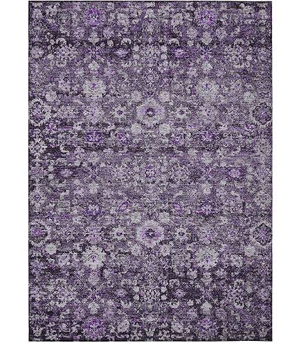 Amazon.com: Addison Rugs Chantille ACN669 Eggplant 9' x 12' Indoor