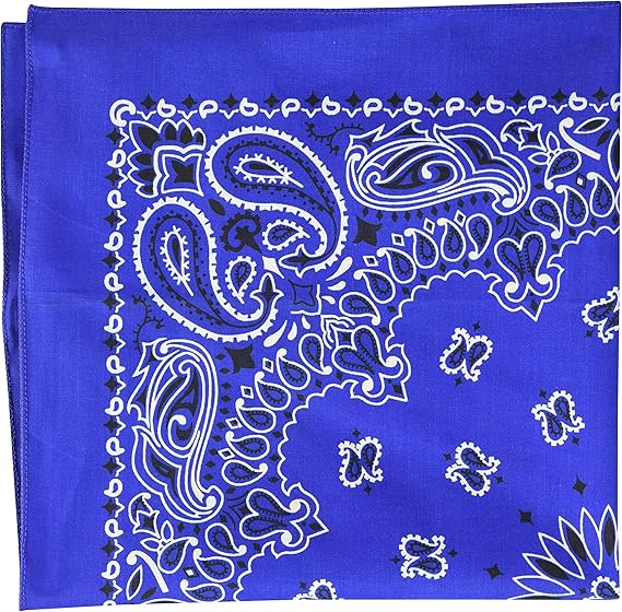 Carolina Have A Hank Paisley Bandannas 22 Inch By 22 Inch Royal Amazon Ca Home Kitchen Carolina Have A Hank Paisley Bandannas 22 Inch By 22 Inch Royal Amazon Ca Home Kitchen