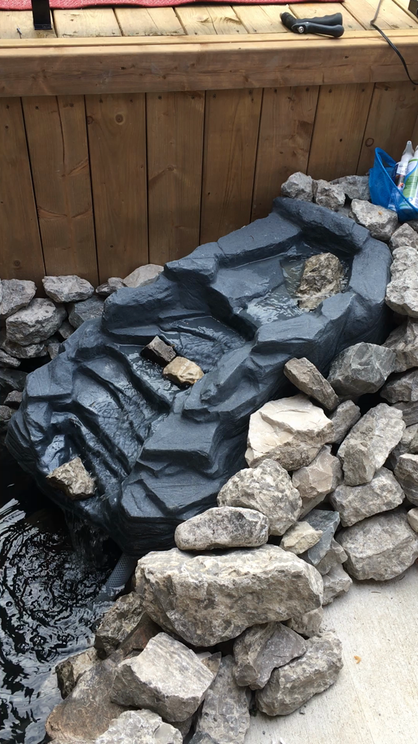 Amazon.caCustomer reviews Algreen Products 91959 Tranquility Water