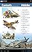 MIM: Aircraft