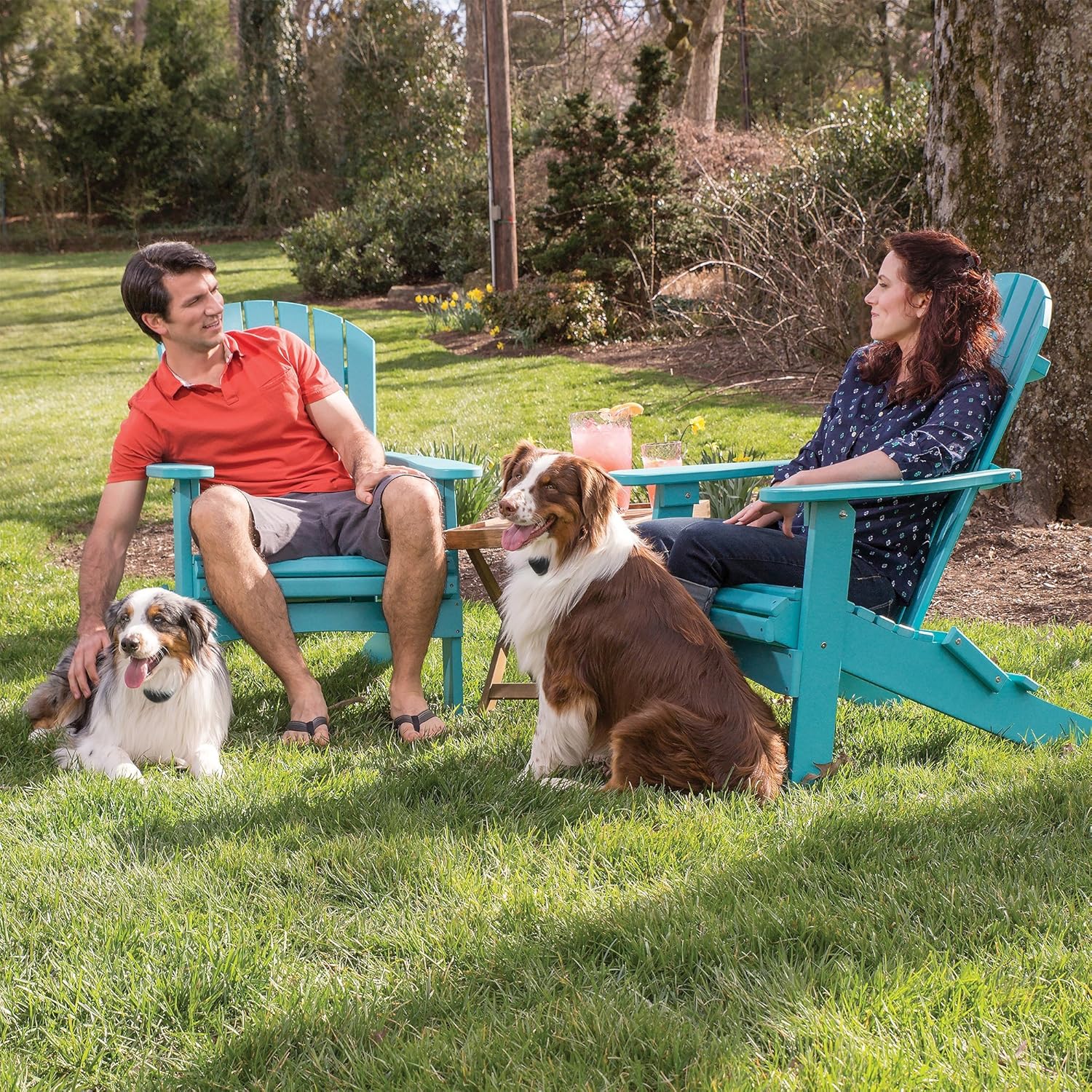 Reviews PetSafe Free to Roam Wireless Fence