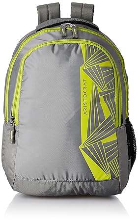 Aristocrat 27 Ltrs Grey Casual Backpack (SBZEN1GRY)