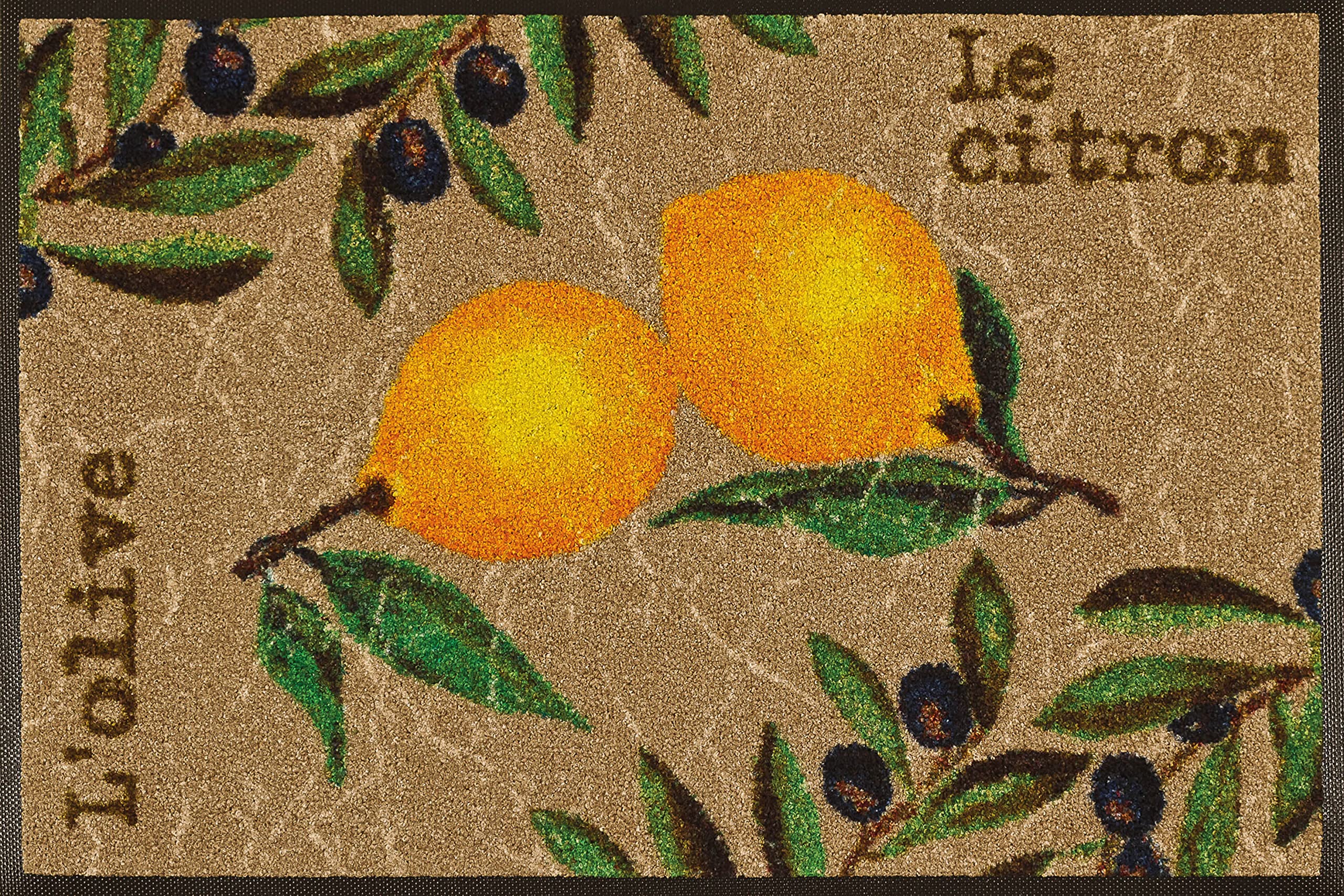 Wash + Dry 051879 Door Mat 50 x 75 cm Le Citron Motif