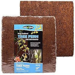 Fernwood Tree Fern Orchid Mounting