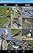 Audubon Bird Guide: North America