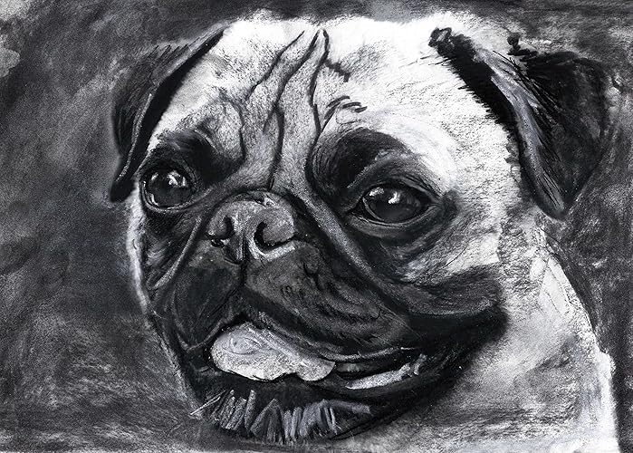 Smiling Pug Dog Wall Art Print, Black and White Pug Decor, Pug Owner