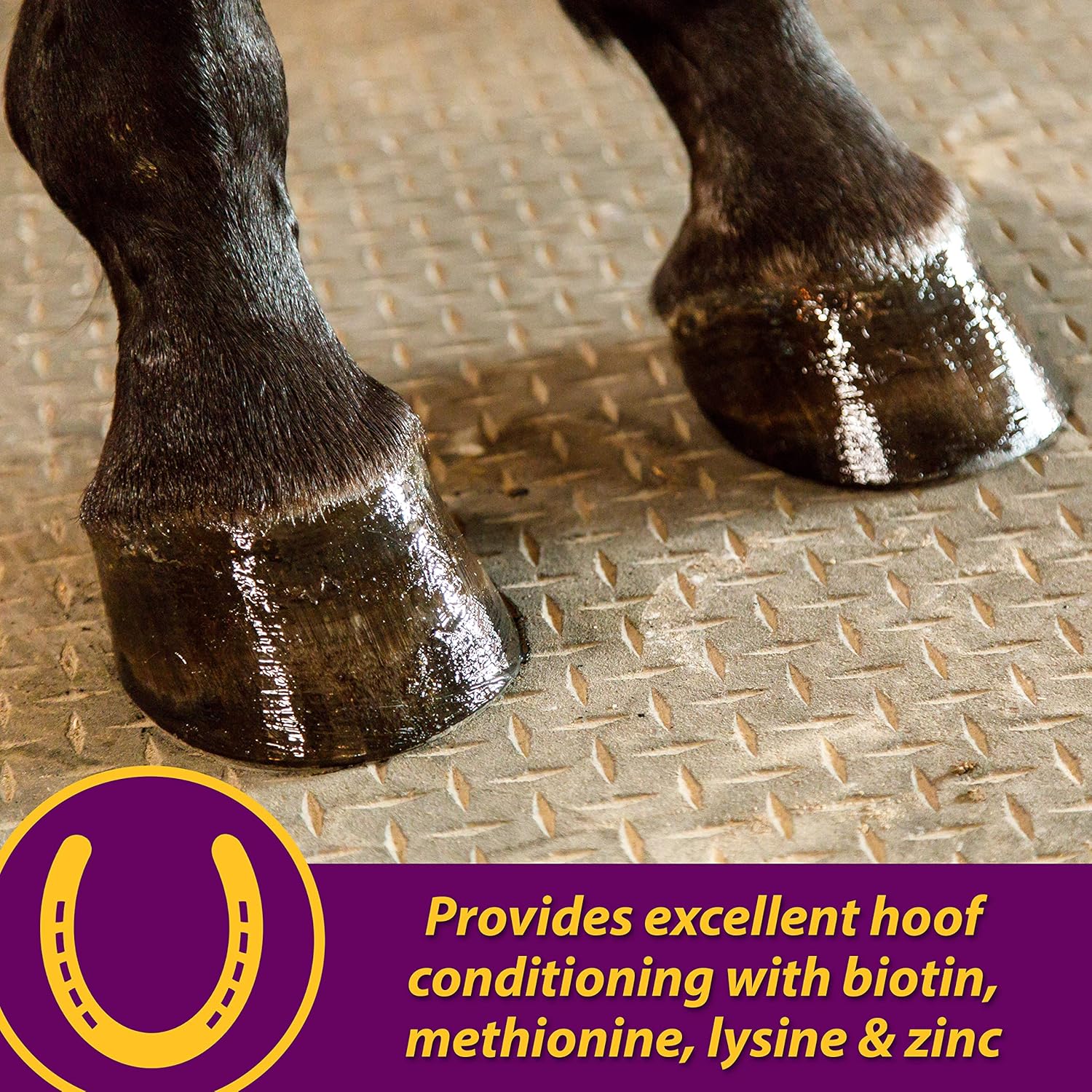 Horse Health Joint Combo Hoof & Coat, convenient 3-in-1 supplement for complete joint, hoof and coat care, 8 pound : Pet Supplements And Vitamins : Pet Supplies