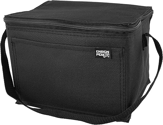 6 can cooler lunch bag