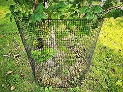 PotatoLife Plastic Hardware Mesh Netting, Garden