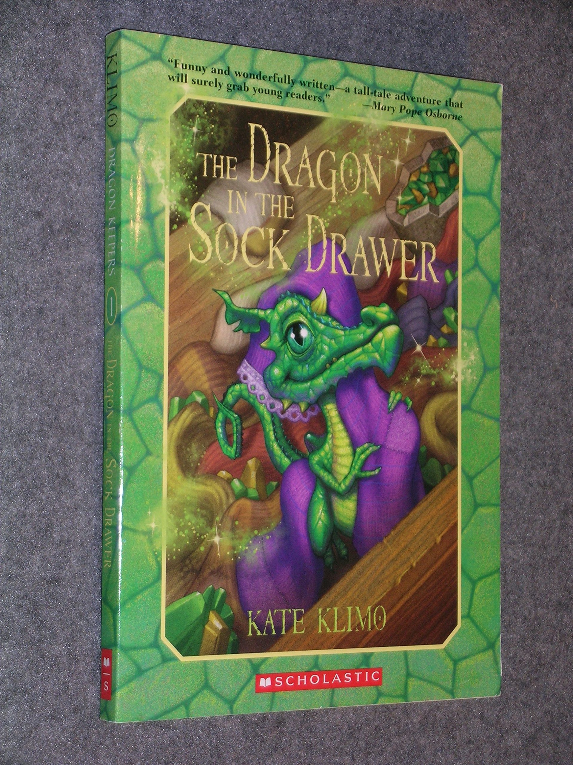 The Dragon In The Sock Drawer Kate Klimo 9780545289894 Amazon