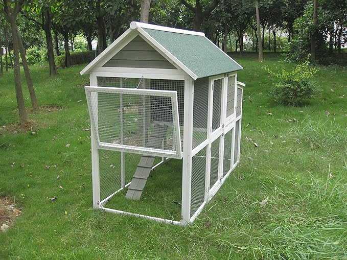 Coops Feathers Wooden Asphalt Roof Chicken Coop 35 X 74 X 57 Graywhite