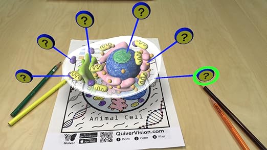 Resultado de imagen de quivervision imagenes educativas