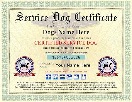 how to get my dog service dog certified