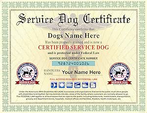 Service animals essay image