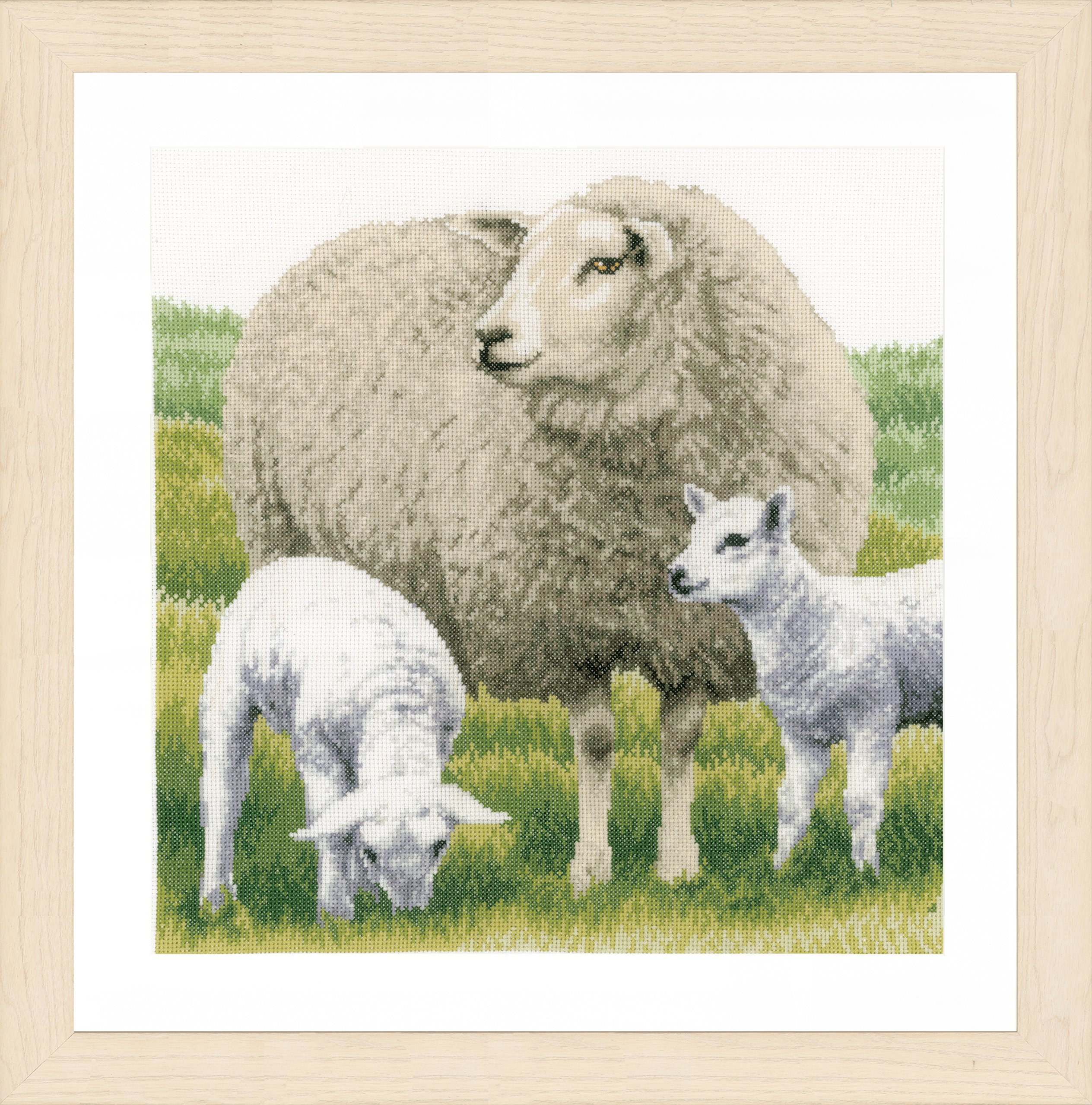 Lanarte Counted Cross Stitch Kit: Sheep (Aida), Cotton, NA, 35 x 35cm