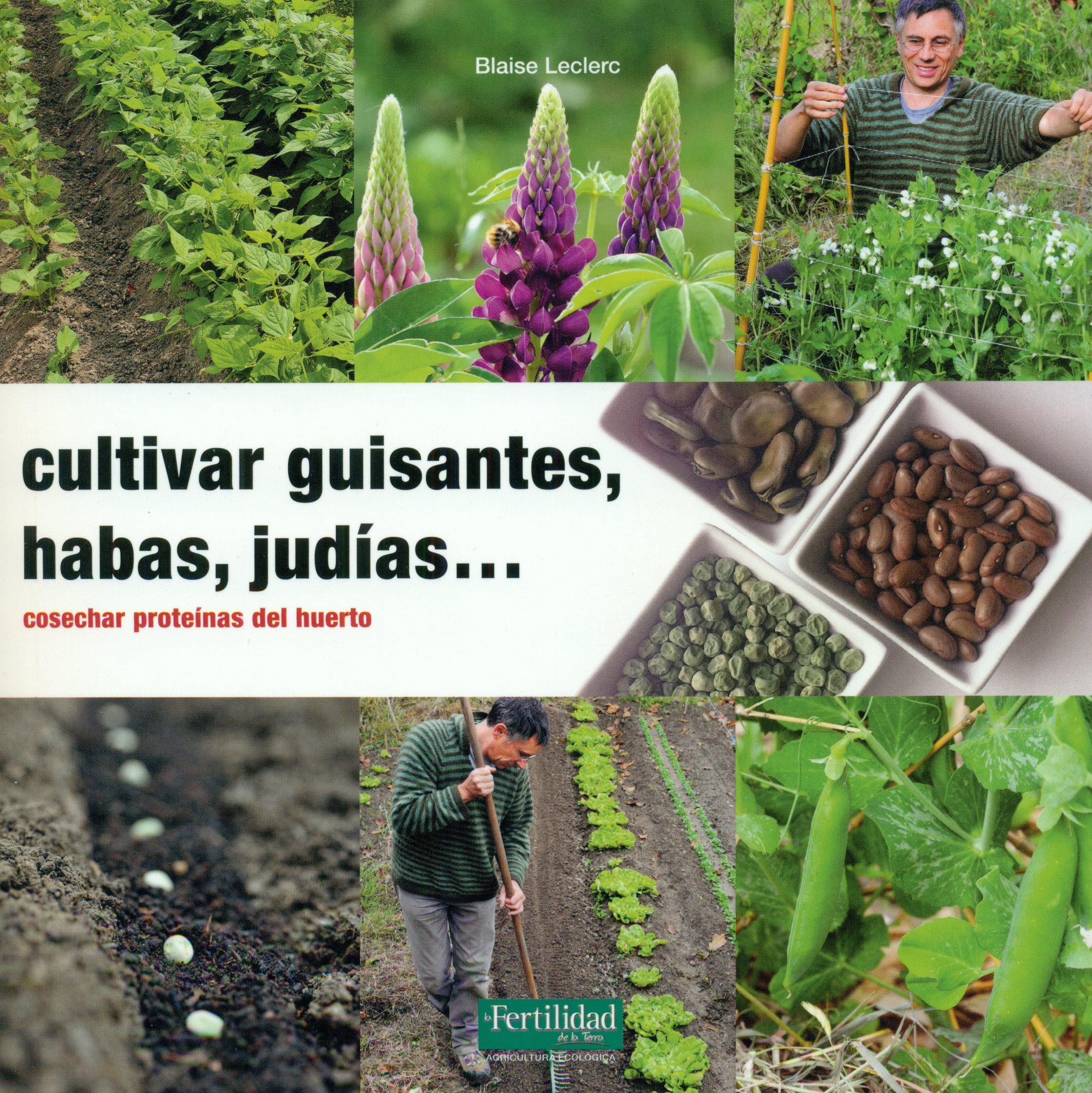 Cultivar guisantes, habas, judías...: Cosechar proteínas del ...