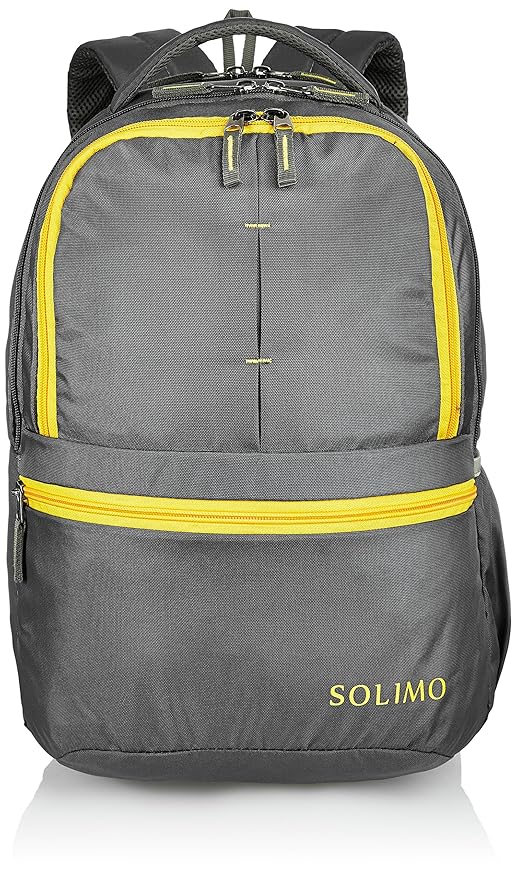 Amazon Brand - Solimo 25 Ltrs Grey Casual Backpack