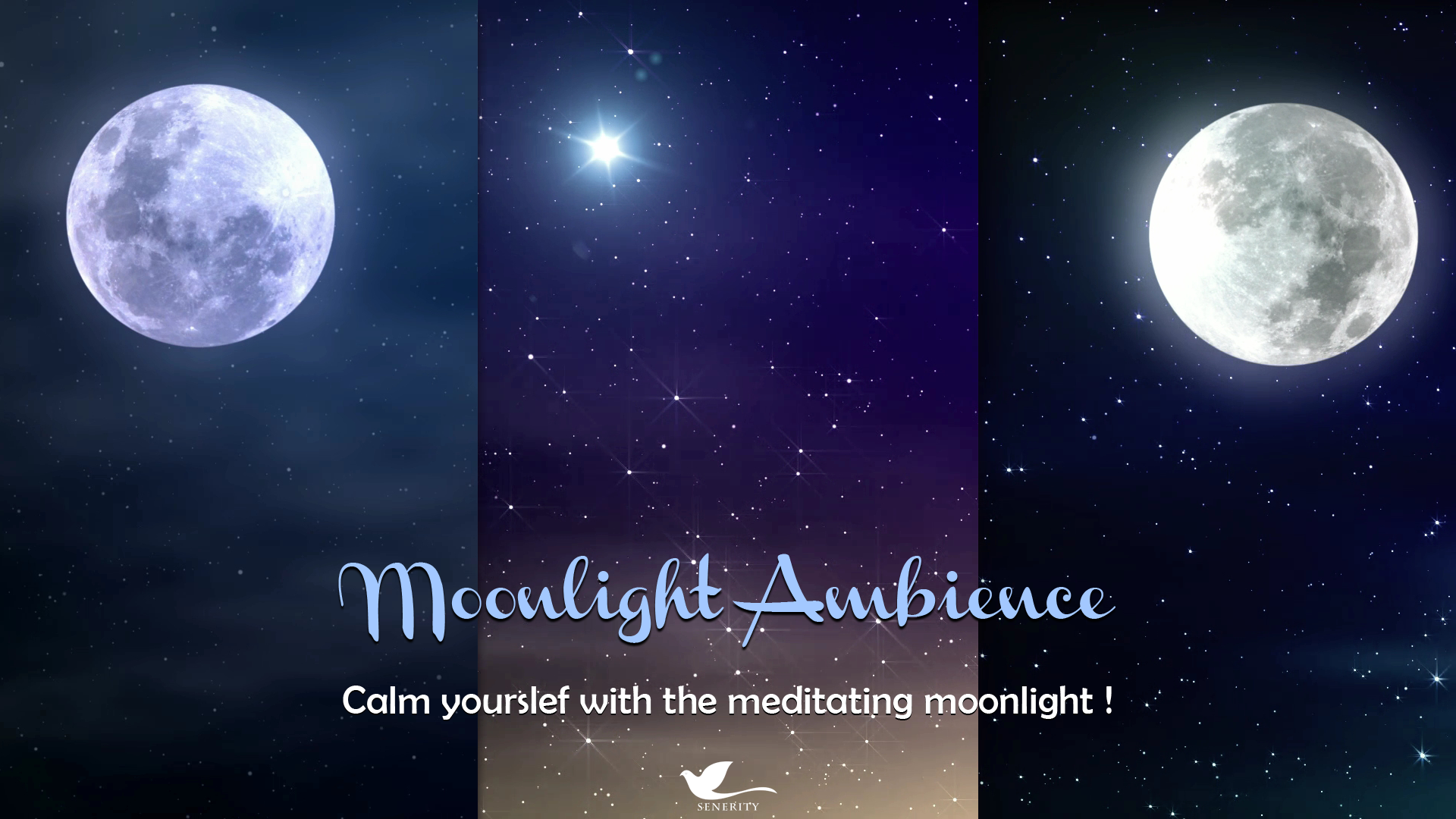 Moonlight Ambience - Calm Yourself with the Meditating Moonlight !