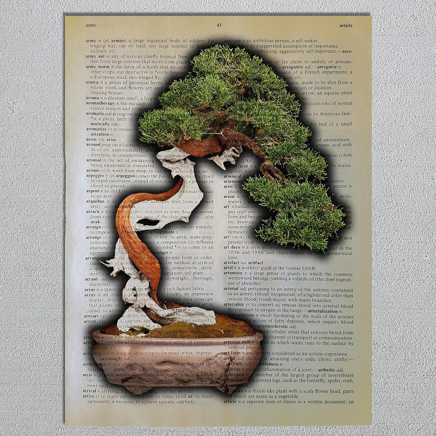 Bonsai Tree Dictionary Page Art Print Handmade