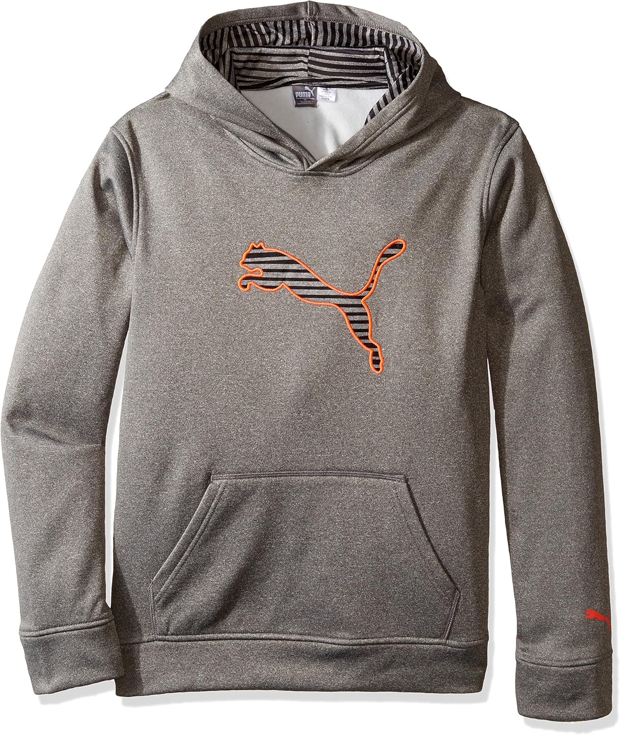 PUMA Boys' Big Cat Hoodie: Clothing
