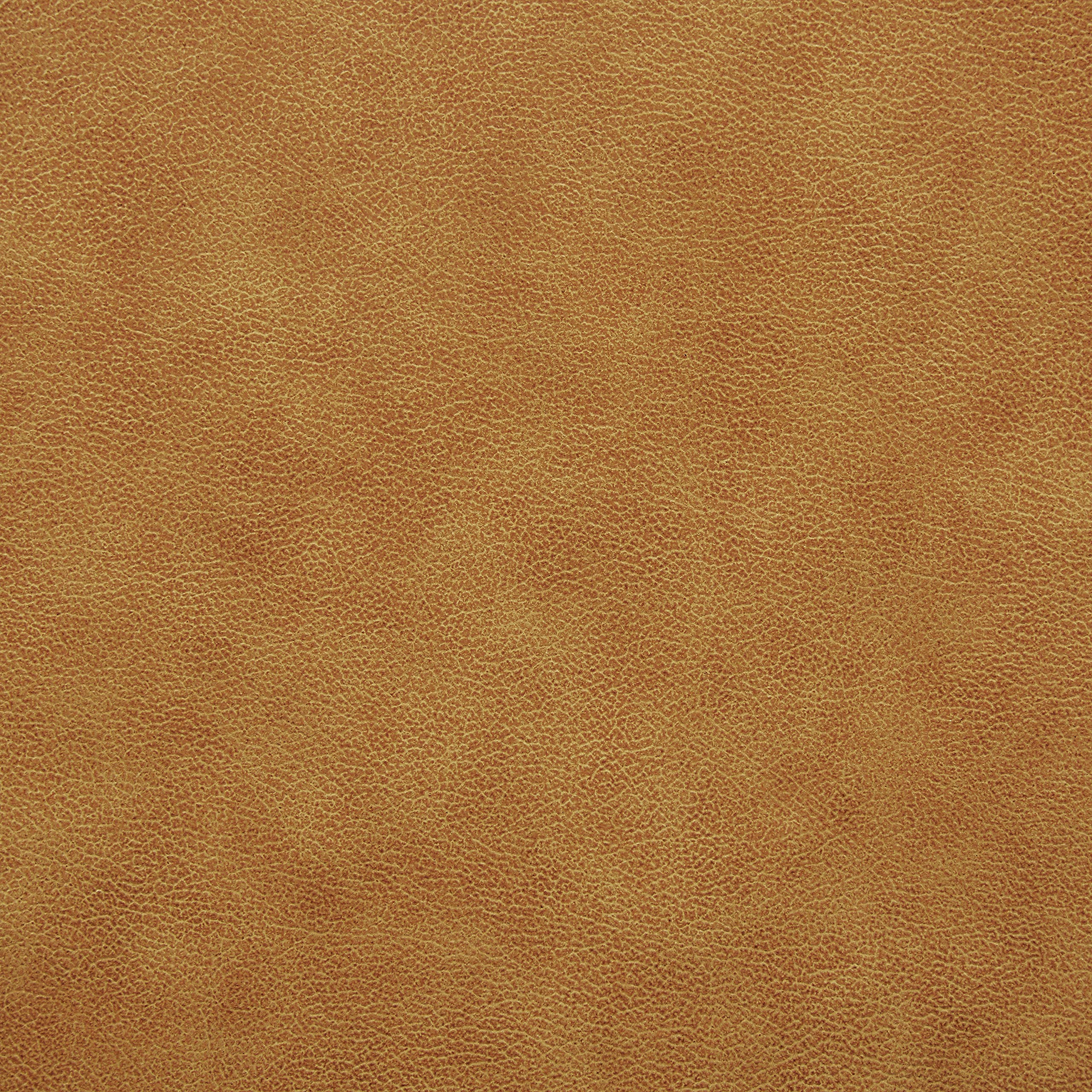 Rivet Thomas Modern Leather Sofa Couch, 101.2", Caramel Pricepulse