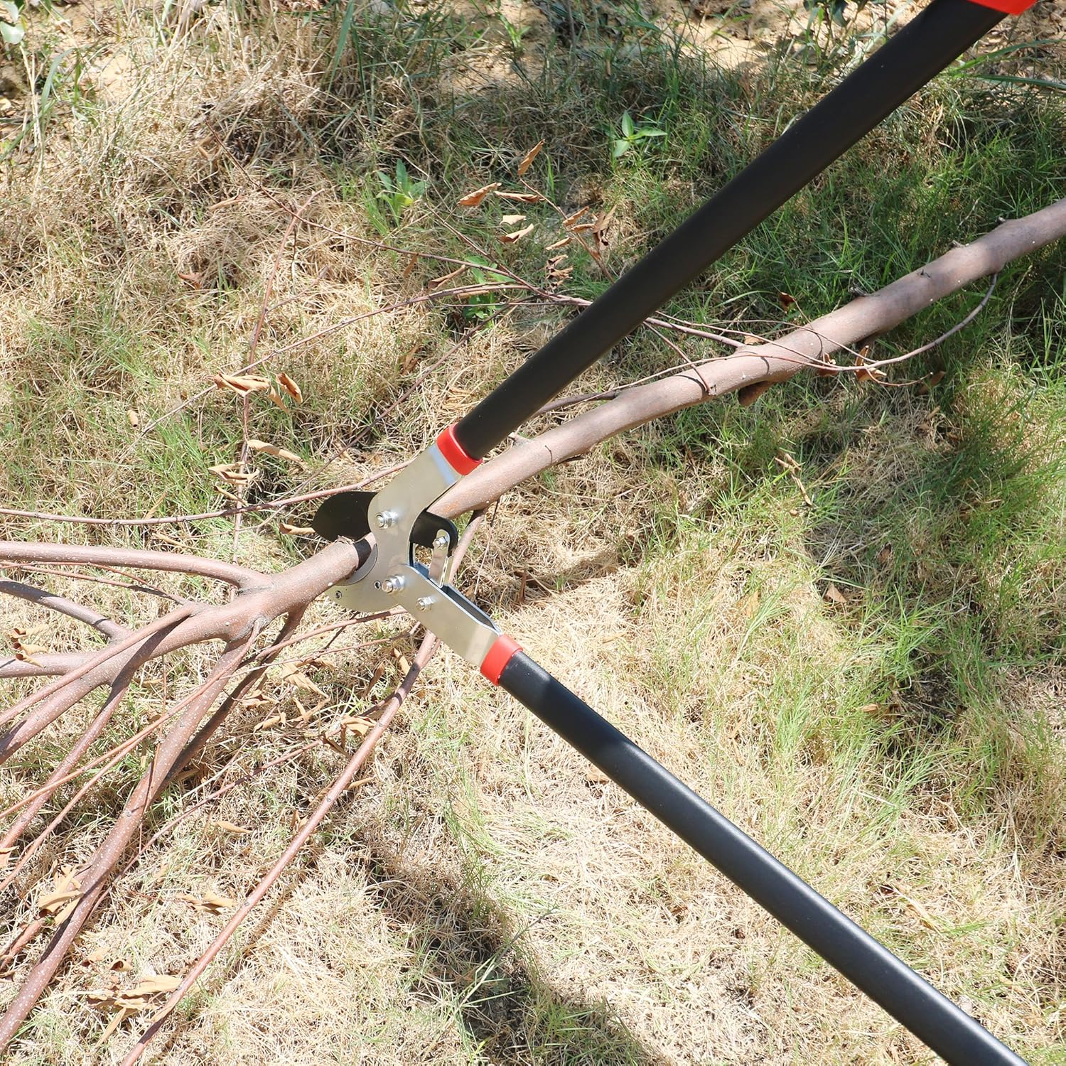 GARTOL Anvil Lopper with Compound Action 29 Inch Heavy Duty Tree Branch Cutter, 2 inch Cutting Capacity Tree Trimmer, with Ergonomically Designed Non-Slip Handles: Home Improvement