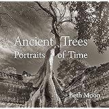 Ancient Trees: Portraits of Time