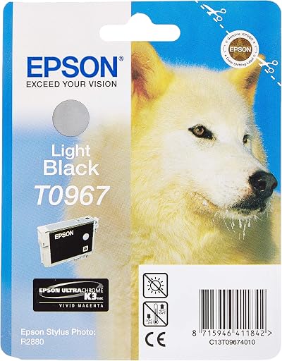 Epson T0967 Light Black Ink Cartridge - UltraChrome K3 Photo Art Media