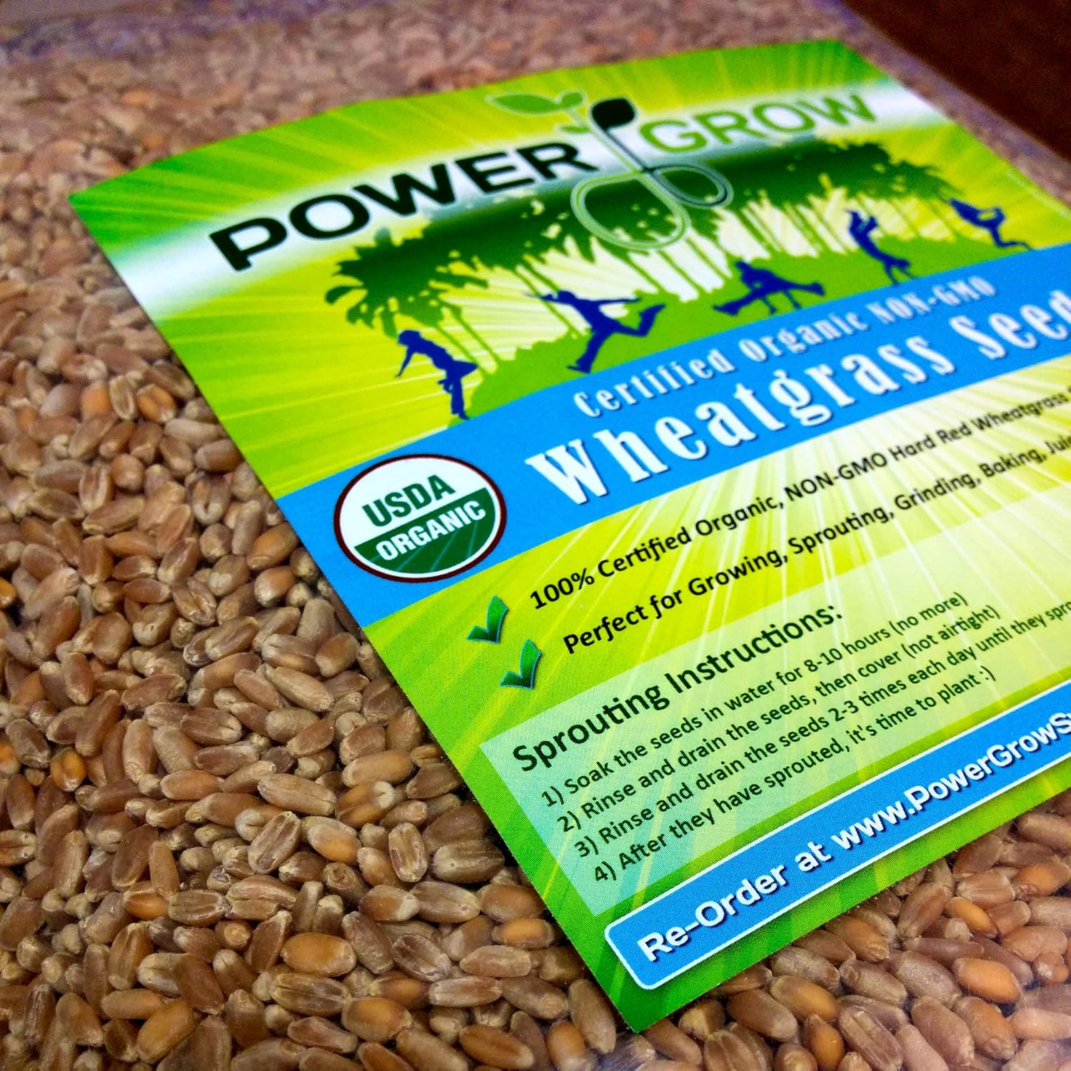Certified Organic Non-GMO Wheatgrass Seeds - 5 Pounds Wheat Seed - Guaranteed to Grow : Garden & Outdoor