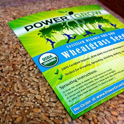 Certified Organic Non-GMO Wheatgrass Seeds - 5 Pounds Wheat Seed - Guaranteed to Grow