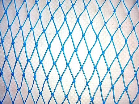 Pigeon Net Anti Bird Blue Nylon Nets, 10 X 12 ft