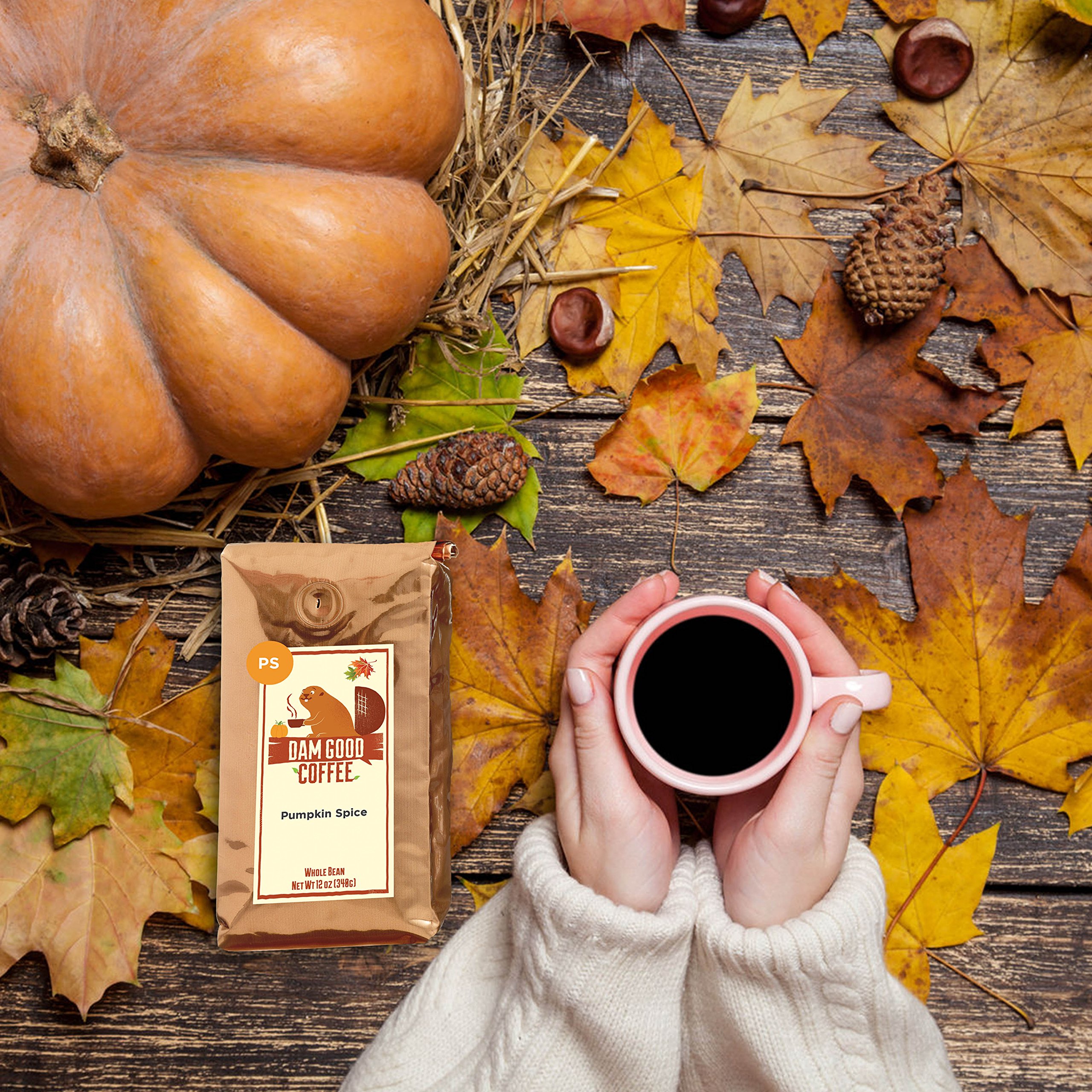 Dam Good Coffee NEW FLAVOR Pumpkin Spice Whole Bean 12 Oz 