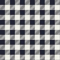 PBS Fabrics Buffalo Check, Navy, Organic Double