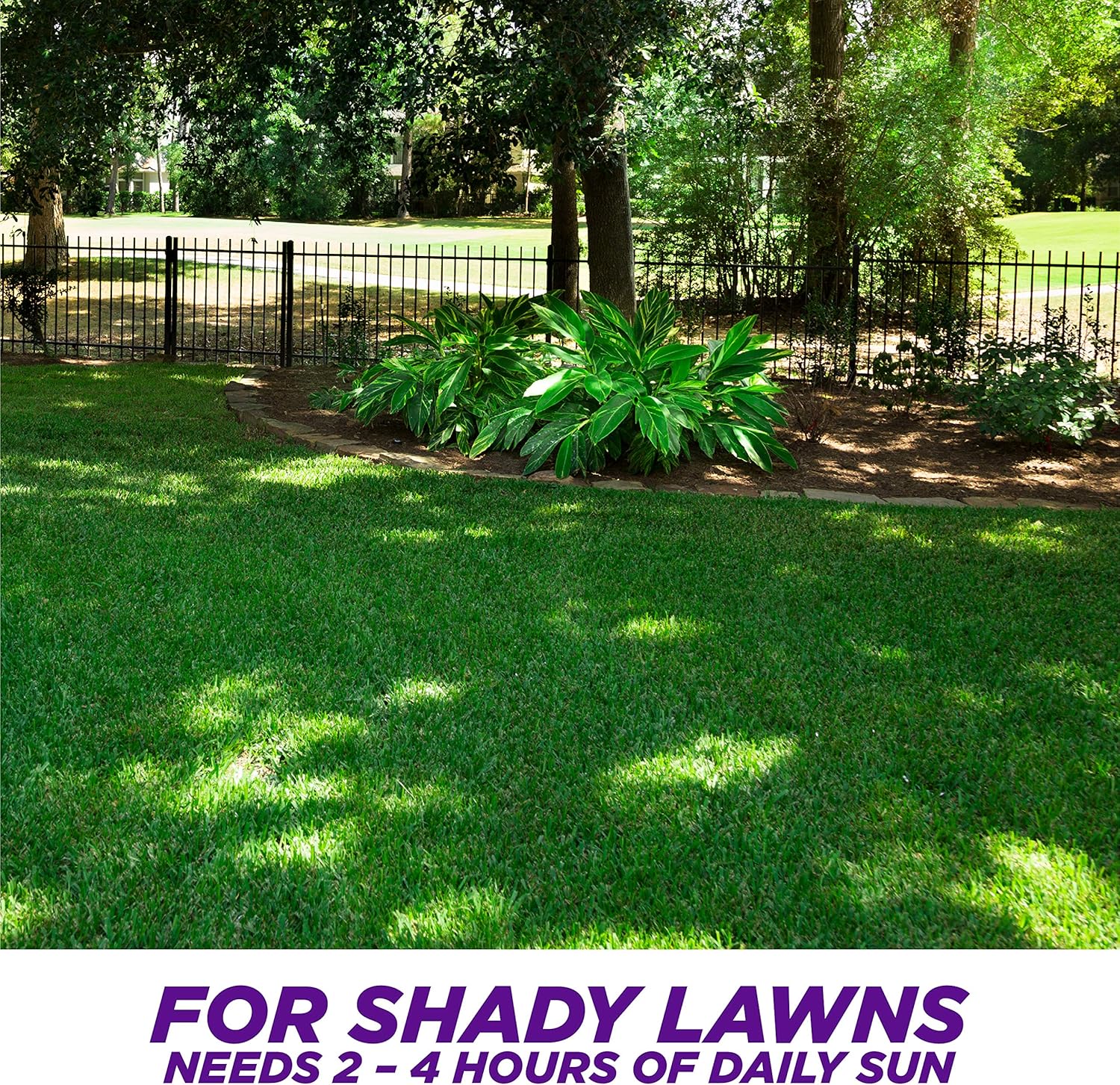 Pennington One Step Complete for Dense Shade Areas - Bare Spot Repair Grass Seed Mix - 8.3 lb : Garden & Outdoor